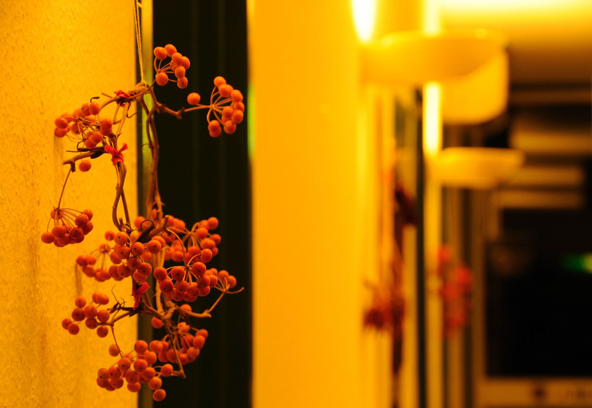 Petit Resort Hotel Alcyon Ito  Bagian luar foto